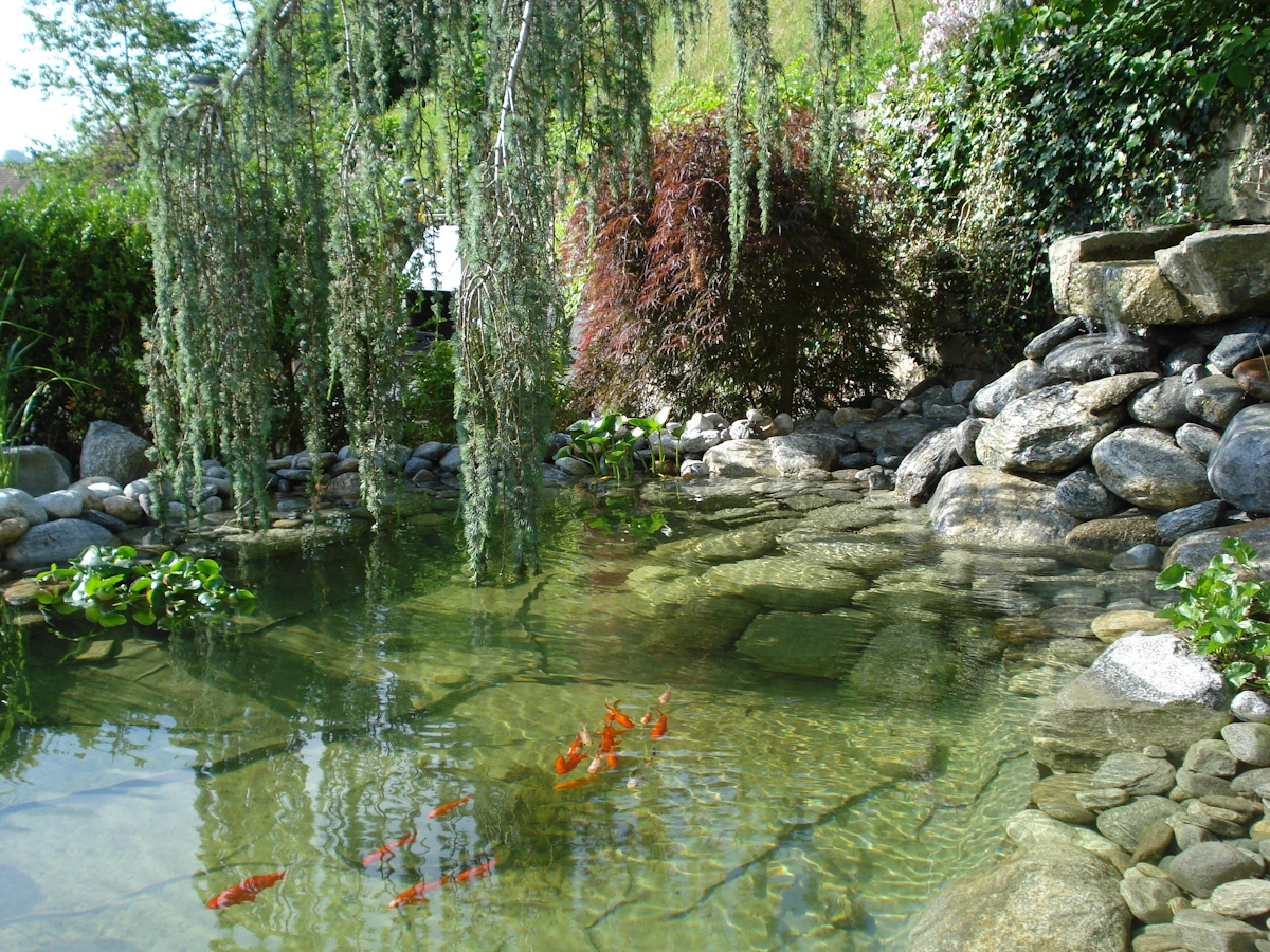 gartenträume wahr nr 1