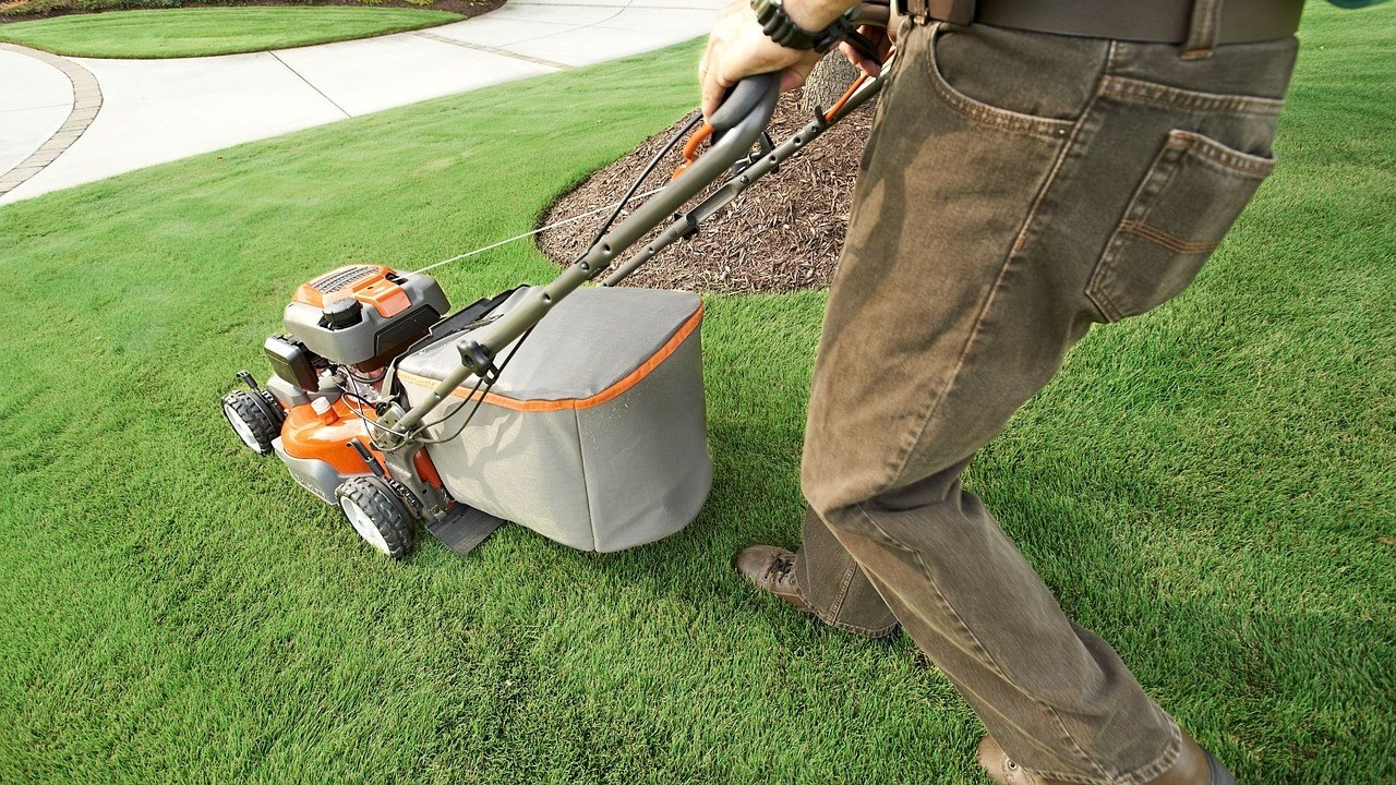 pexels garden 2178234 1280