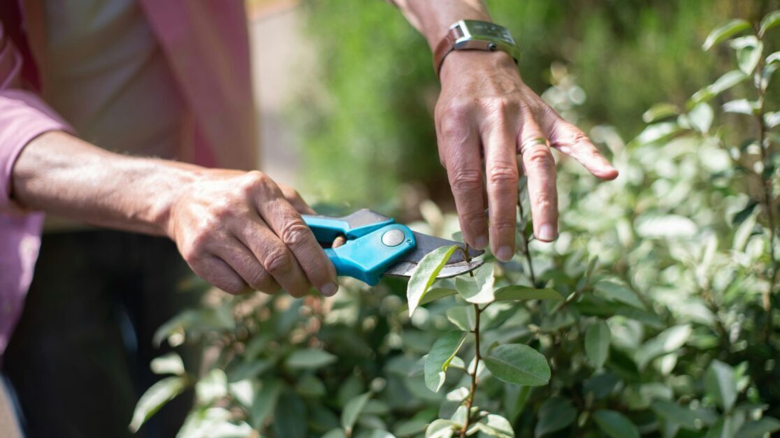 pexels kampus 7854134