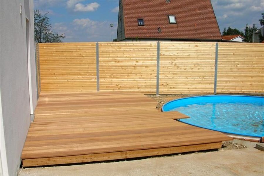 01sichtschutzlaerche