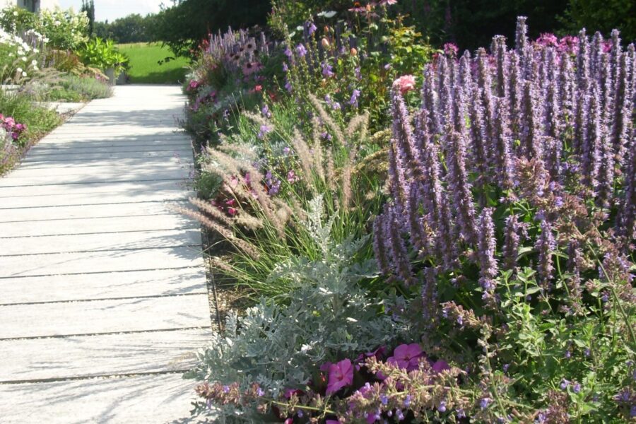 d:dcim100mediaimg 0139.jpg